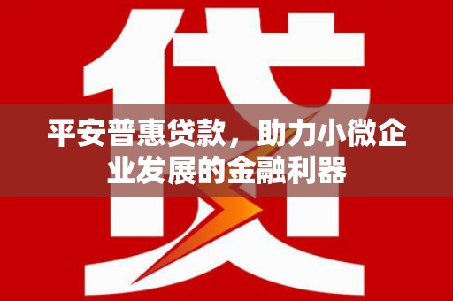 天津平安普惠贷款，助力小微企业发展的金融利器