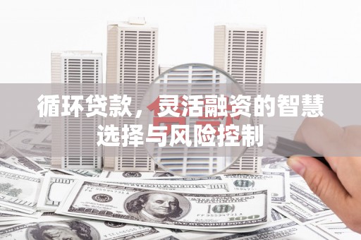 天津循环贷款，灵活融资的智慧选择与风险控制