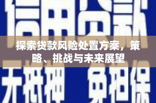 天津探索贷款风险处置方案，策略、挑战与未来展望