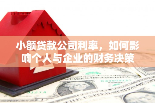 天津小额贷款公司利率，如何影响个人与企业的财务决策