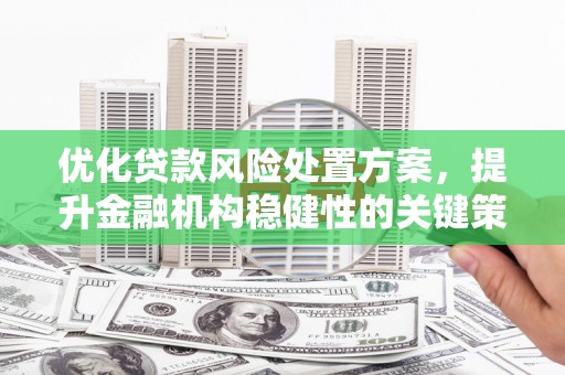 天津优化贷款风险处置方案，提升金融机构稳健性的关键策略