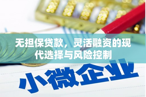天津无担保贷款，灵活融资的现代选择与风险控制
