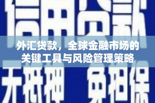 天津外汇贷款，全球金融市场的关键工具与风险管理策略