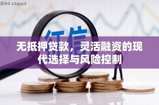天津无抵押贷款，灵活融资的现代选择与风险控制