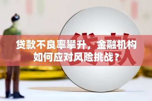 天津贷款不良率攀升，金融机构如何应对风险挑战？