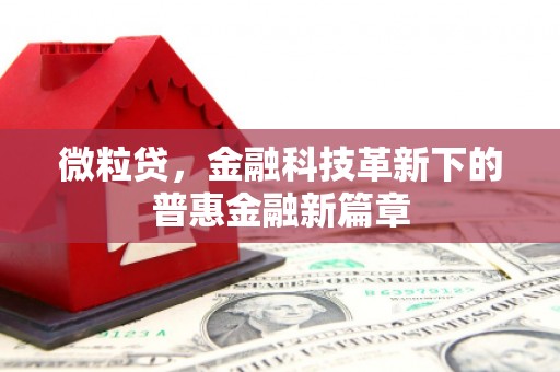 天津微粒贷，金融科技革新下的普惠金融新篇章