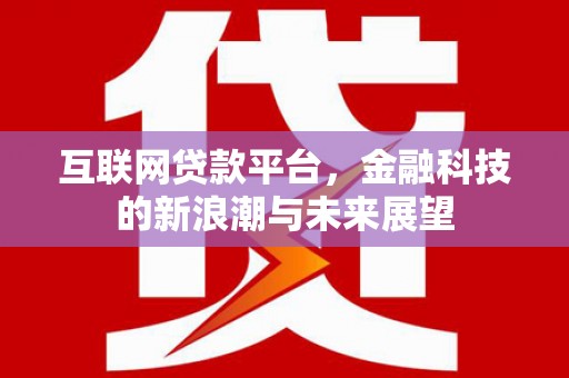 天津互联网贷款平台，金融科技的新浪潮与未来展望