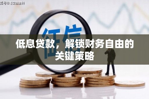 天津低息贷款，解锁财务自由的关键策略