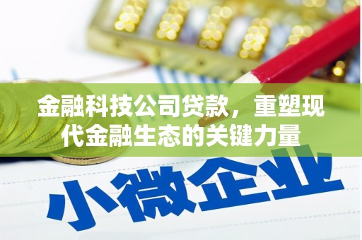天津金融科技公司贷款，重塑现代金融生态的关键力量