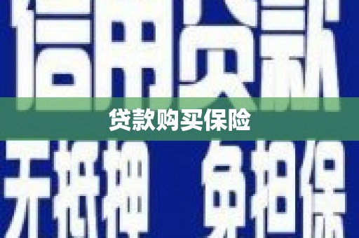 天津贷款购买保险