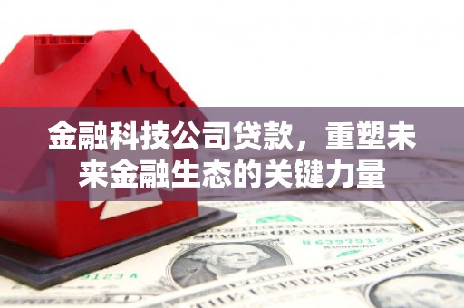 天津金融科技公司贷款，重塑未来金融生态的关键力量