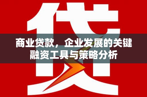 天津商业贷款，企业发展的关键融资工具与策略分析