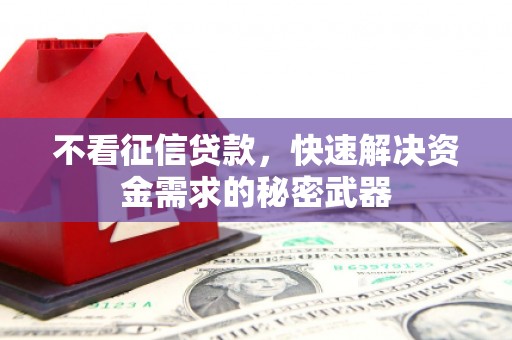 天津不看征信贷款，快速解决资金需求的秘密武器