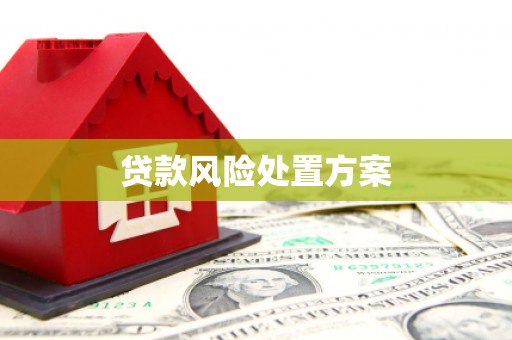 天津贷款风险处置方案