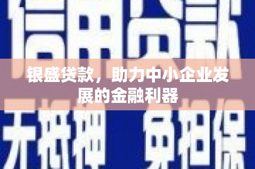 天津银盛贷款，助力中小企业发展的金融利器