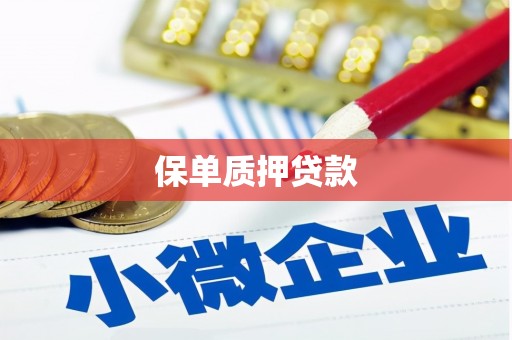 天津保单质押贷款