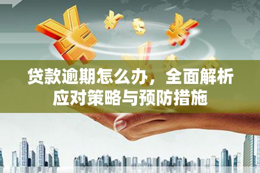 天津贷款逾期怎么办，全面解析应对策略与预防措施