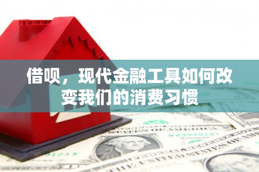 天津借呗，现代金融工具如何改变我们的消费习惯