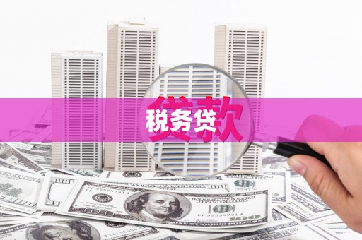 天津税务贷