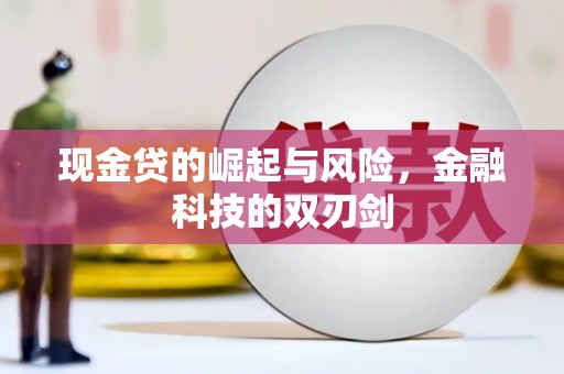 天津现金贷的崛起与风险，金融科技的双刃剑