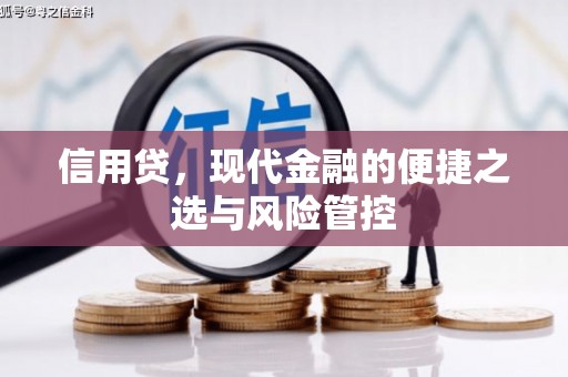 天津信用贷，现代金融的便捷之选与风险管控