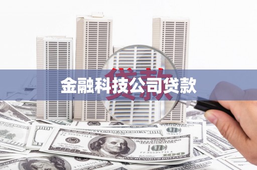天津金融科技公司贷款