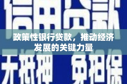 天津政策性银行贷款，推动经济发展的关键力量