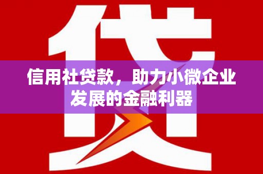 天津信用社贷款，助力小微企业发展的金融利器