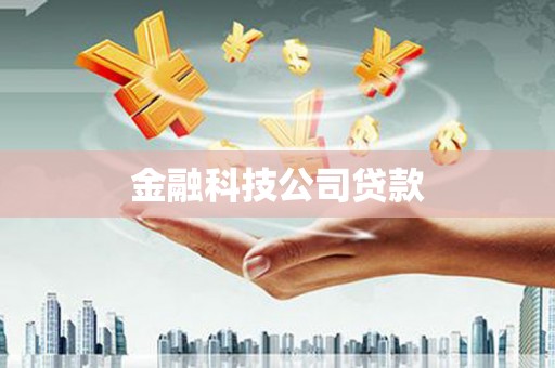 天津金融科技公司贷款