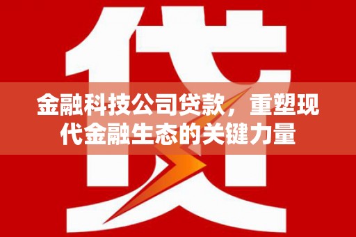天津金融科技公司贷款，重塑现代金融生态的关键力量