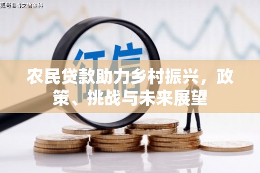 天津农民贷款助力乡村振兴，政策、挑战与未来展望