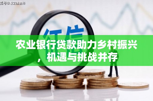 天津农业银行贷款助力乡村振兴，机遇与挑战并存