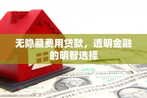 天津无隐藏费用贷款，透明金融的明智选择