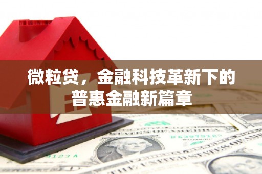 天津微粒贷，金融科技革新下的普惠金融新篇章
