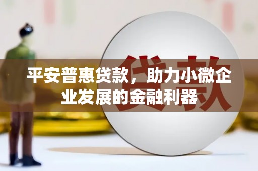 天津平安普惠贷款，助力小微企业发展的金融利器