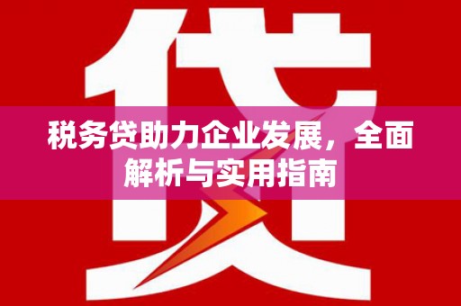 天津税务贷助力企业发展，全面解析与实用指南