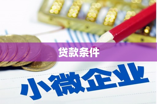 天津贷款条件