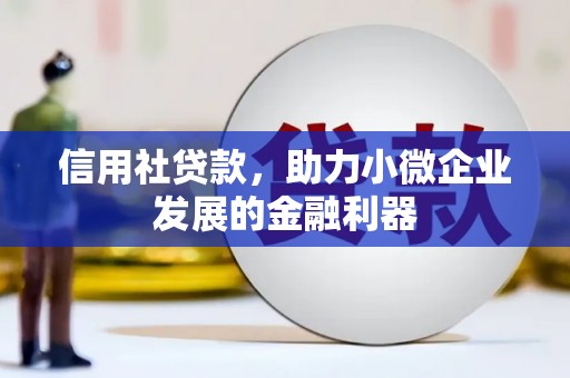 天津信用社贷款，助力小微企业发展的金融利器