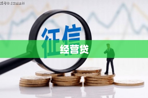 天津经营贷