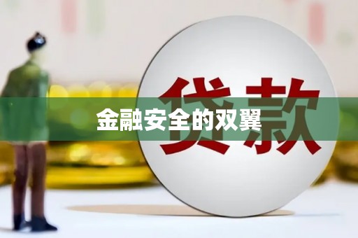 天津金融安全的双翼