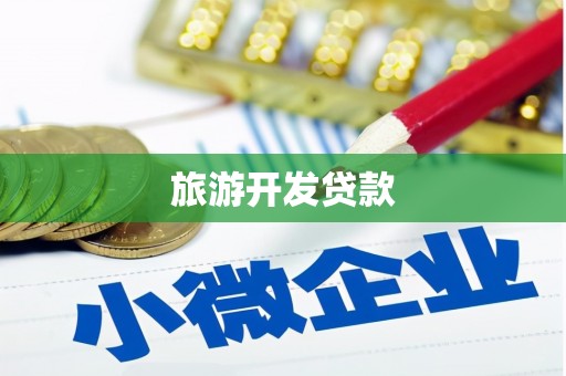 天津旅游开发贷款