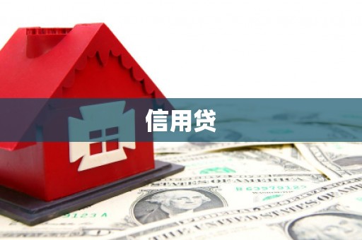 天津信用贷