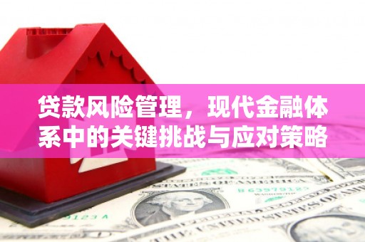 天津贷款风险管理，现代金融体系中的关键挑战与应对策略