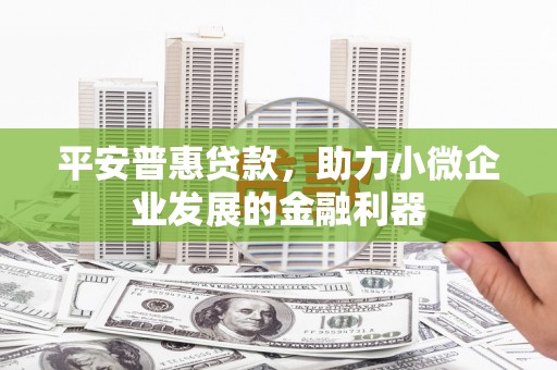 天津平安普惠贷款，助力小微企业发展的金融利器