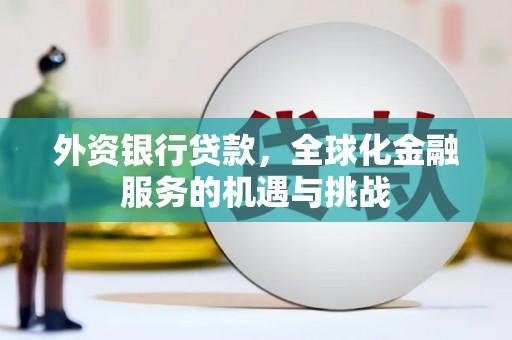 天津外资银行贷款，全球化金融服务的机遇与挑战