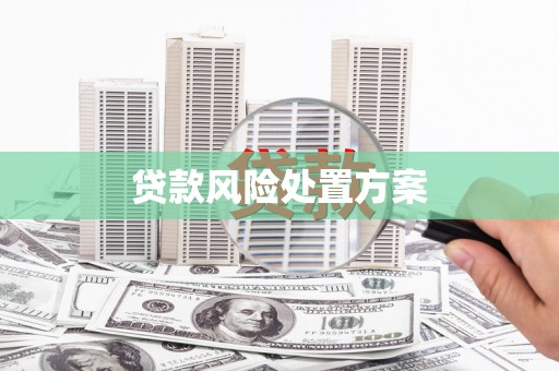 天津贷款风险处置方案
