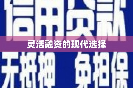 天津灵活融资的现代选择