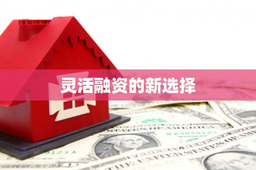 天津灵活融资的新选择