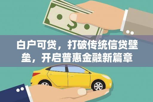 天津白户可贷，打破传统信贷壁垒，开启普惠金融新篇章