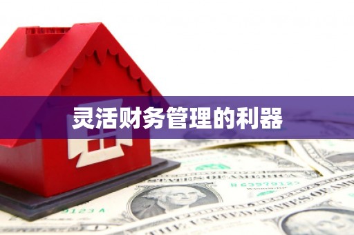 天津灵活财务管理的利器